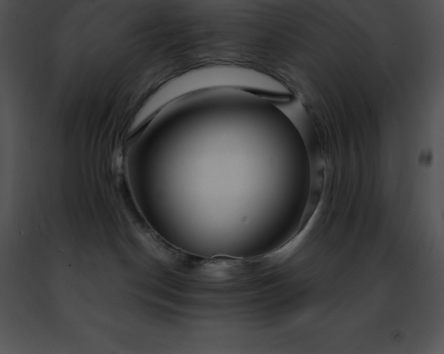 X0000091490190200708301944