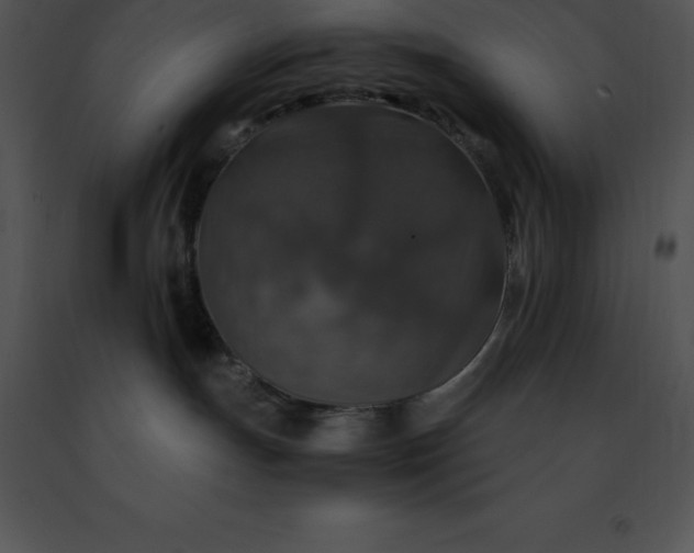 X0000091490191200708301944