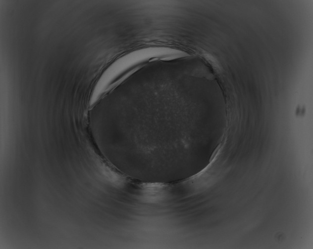 X0000091490192200708301944