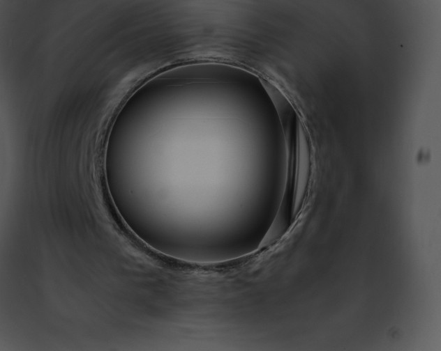 X0000091490193200708301943