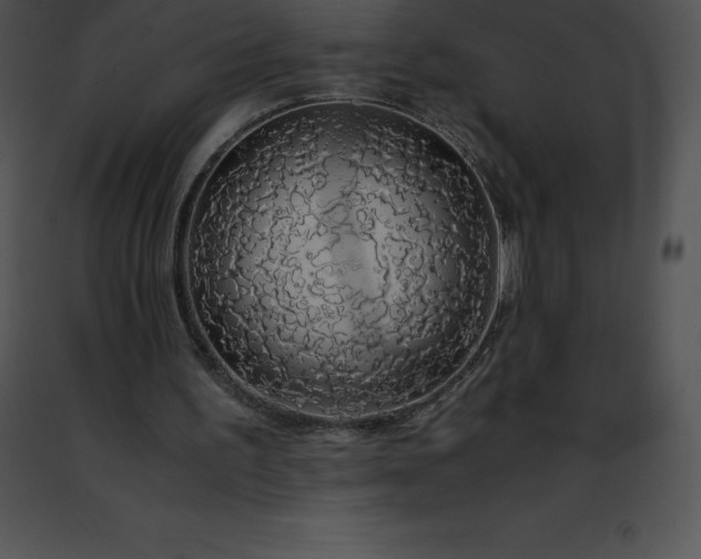 X0000091490195200708301943