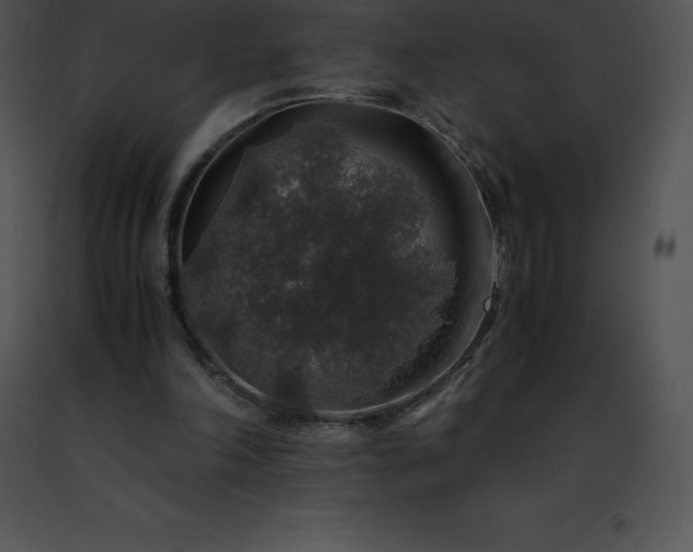 X0000091490198200708301943