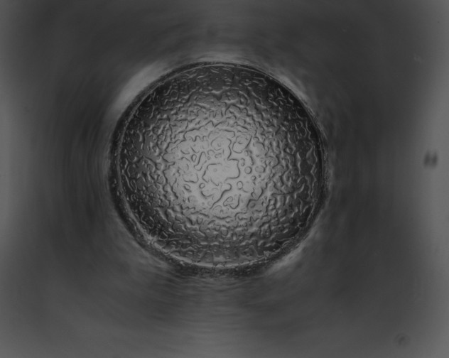 X0000091490199200708301943