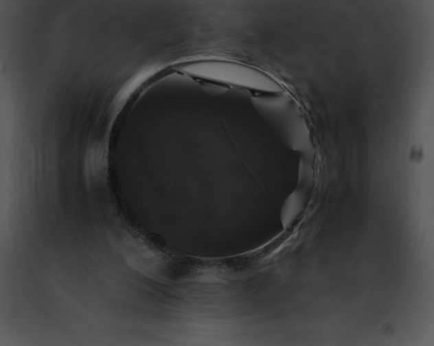 X0000091490200200708301943