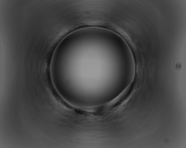 X0000091490201200708301943