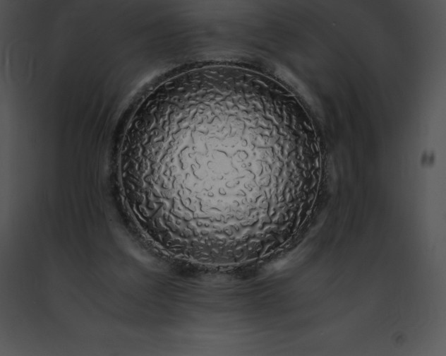 X0000091490203200708301943