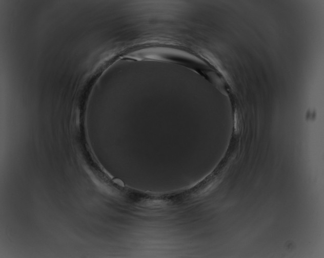 X0000091490205200708301943