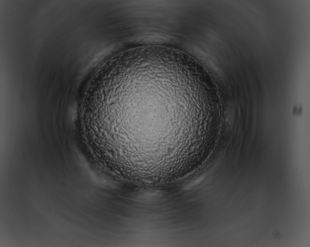 X0000091490206200708301943