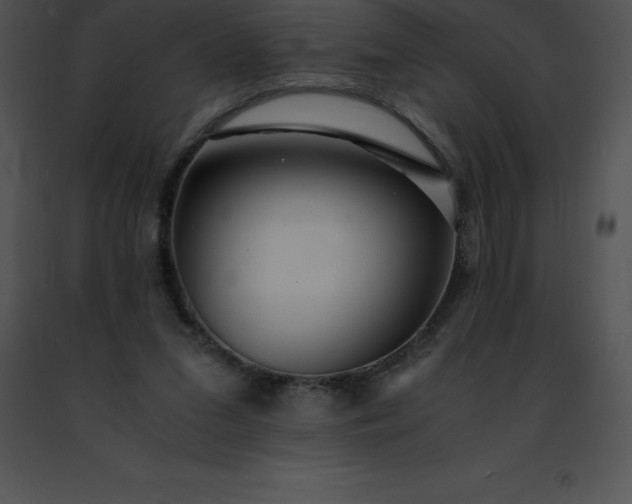 X0000091490207200708301943