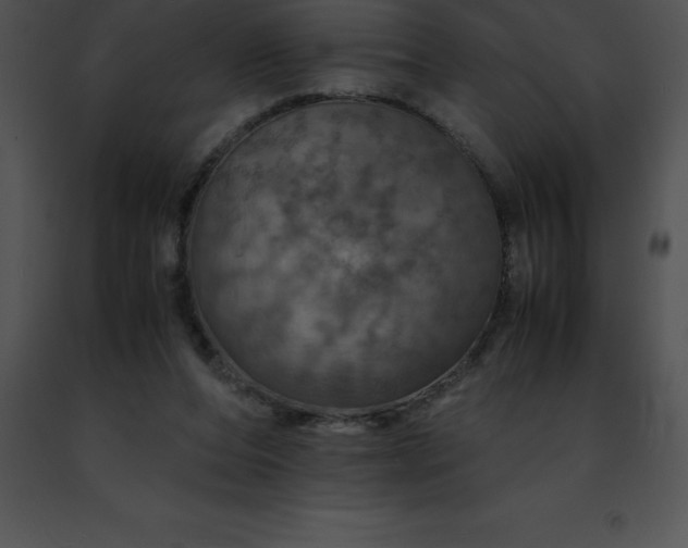 X0000091490208200708301943