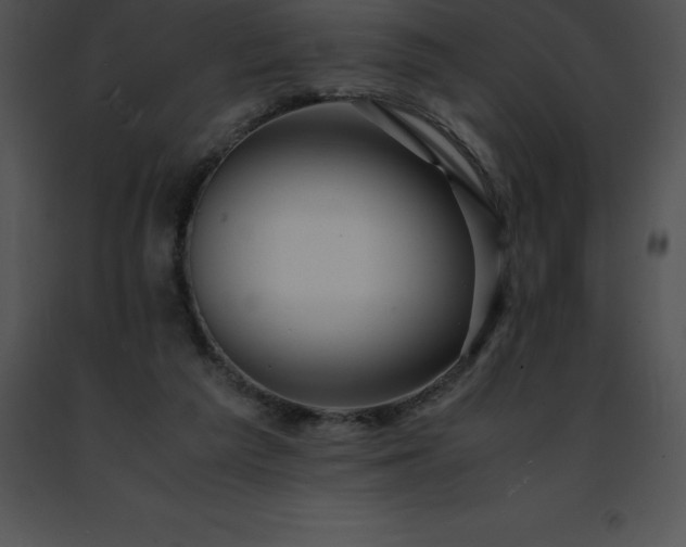 X0000091490209200708301943