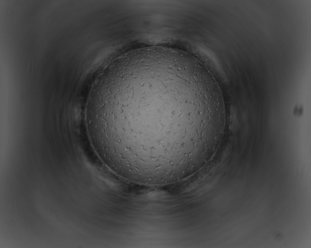 X0000091490210200708301943