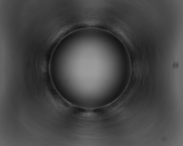 X0000091490212200708301943