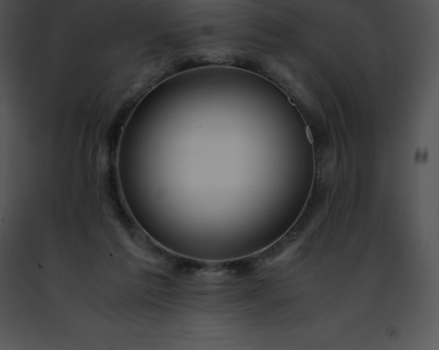 X0000091490213200708301943