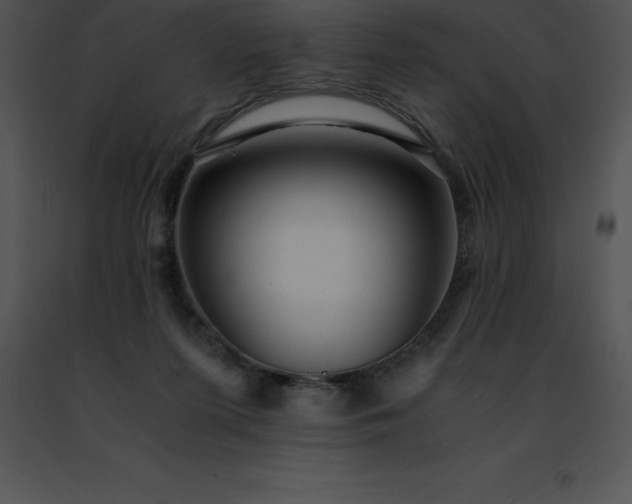 X0000091490215200708301943