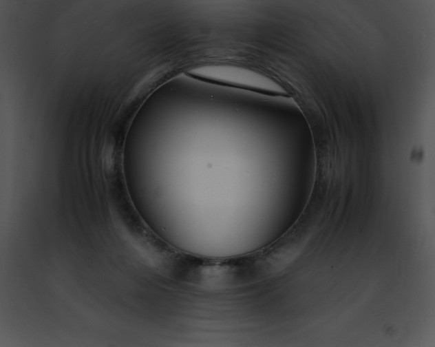 X0000091490216200708301943