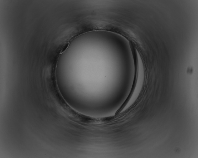 X0000091490217200708301943