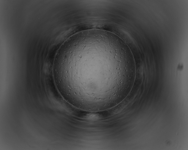 X0000091490218200708301943