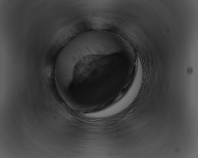 X0000091490219200708301943