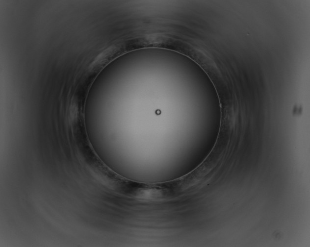 X0000091490220200708301943