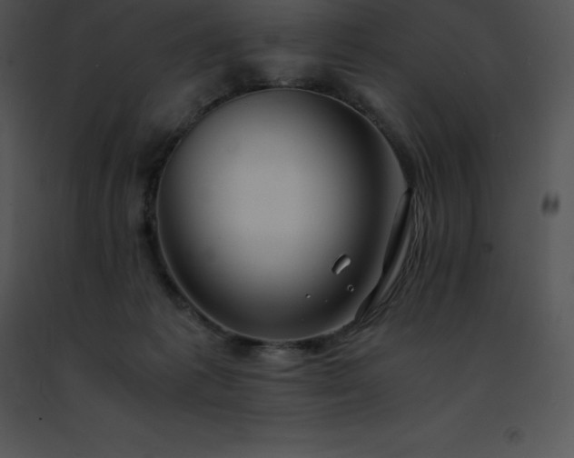 X0000091490221200708301943