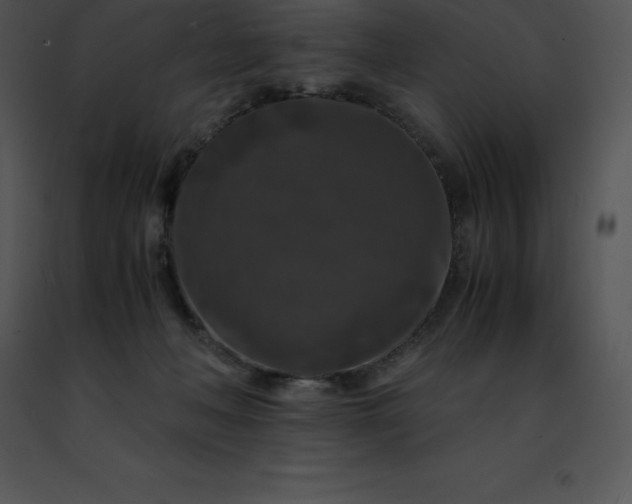 X0000091490222200708301943