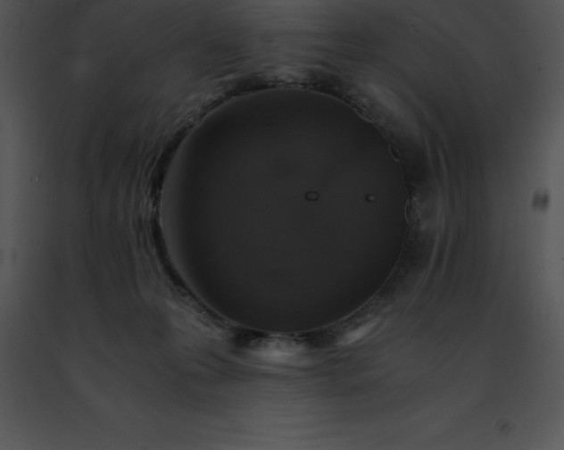 X0000091490223200708301943