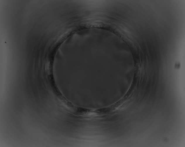 X0000091490224200708301943