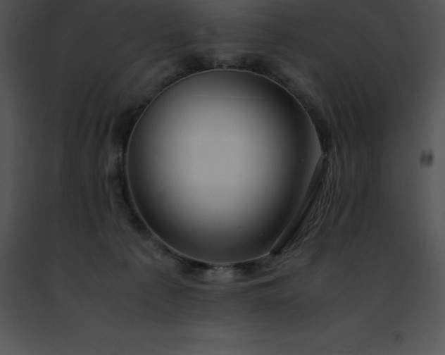 X0000091490225200708301943