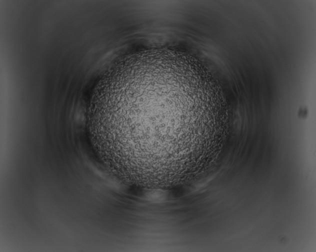 X0000091490226200708301943