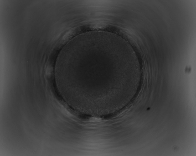 X0000091490227200708301943