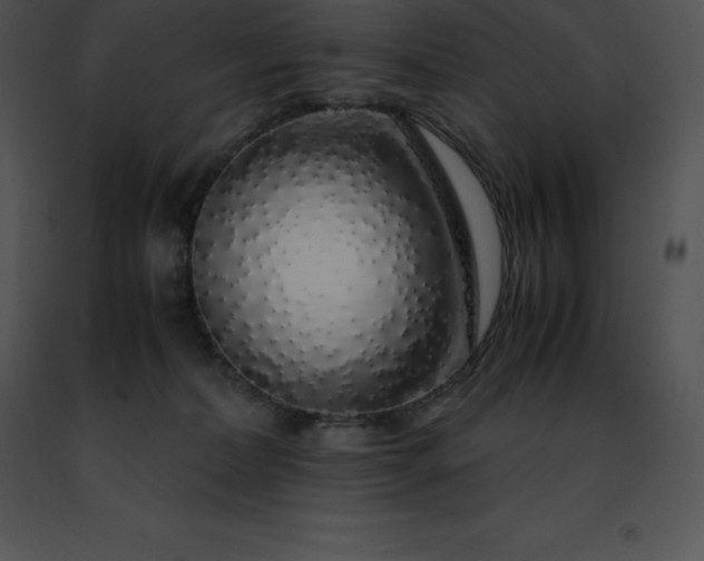 X0000091490228200708301943