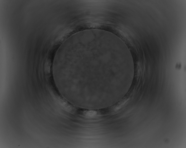 X0000091490230200708301943