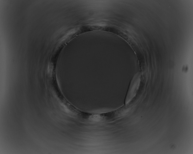 X0000091490231200708301943