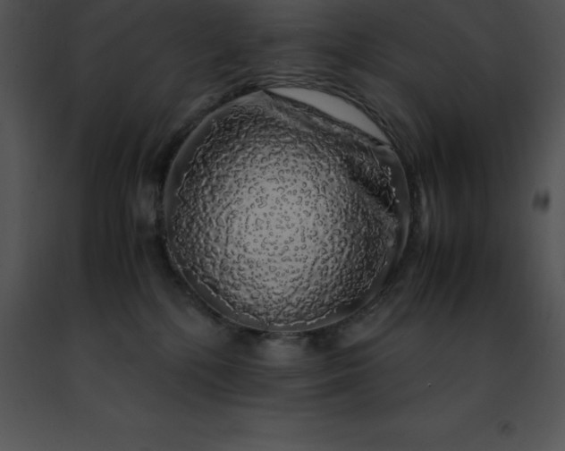 X0000091490232200708301942