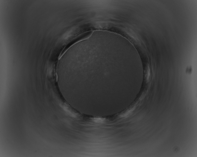 X0000091490233200708301942