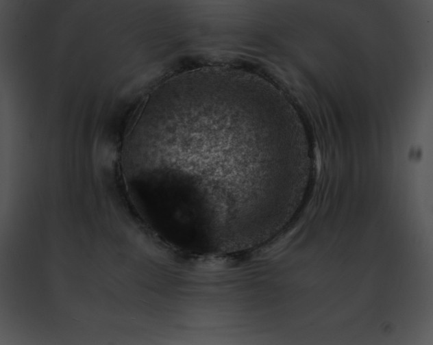 X0000091490235200708301942