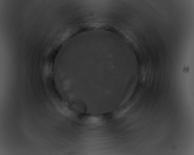 X0000091490236200708301942