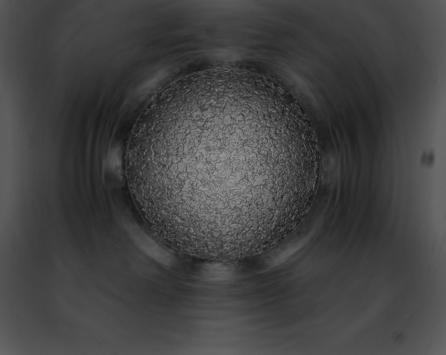 X0000091490238200708301942