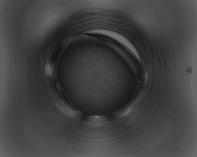 X0000091490239200708301942