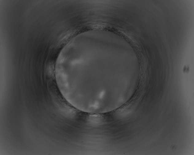 X0000091490240200708301942