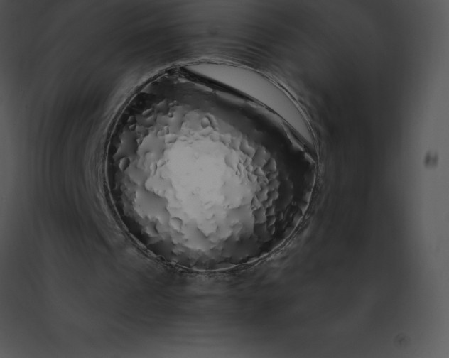 X0000091490241200708301942