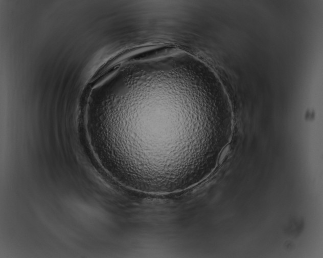 X0000091490242200708301942