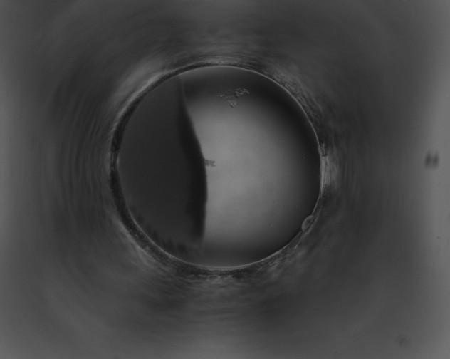 X0000091490243200708301942