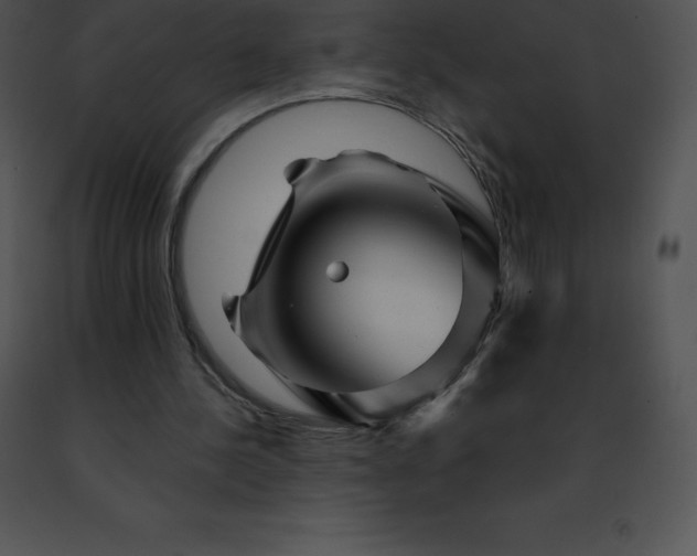 X0000091490244200708301942