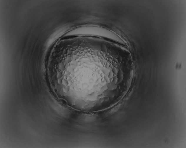 X0000091490245200708301942