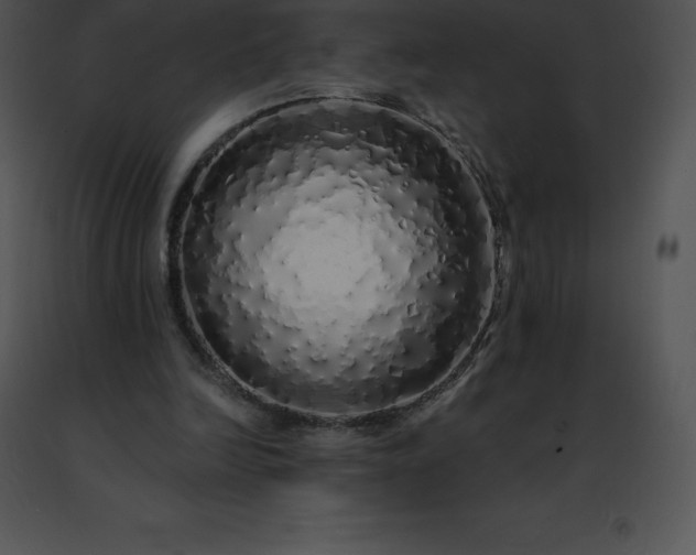 X0000091490246200708301942