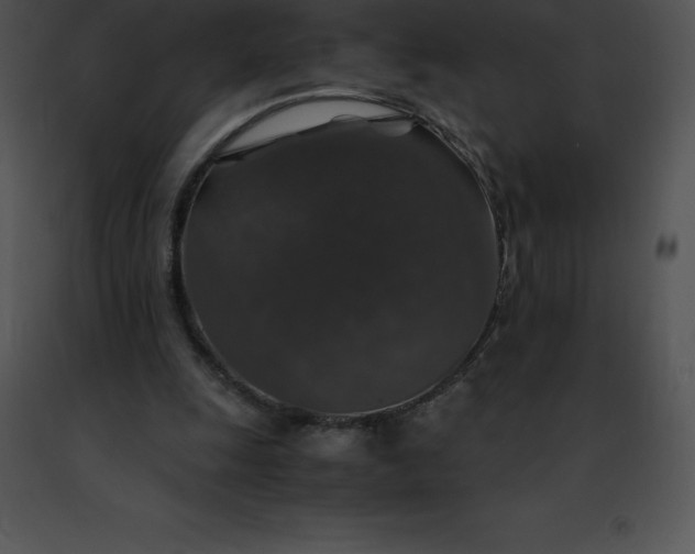 X0000091490247200708301942