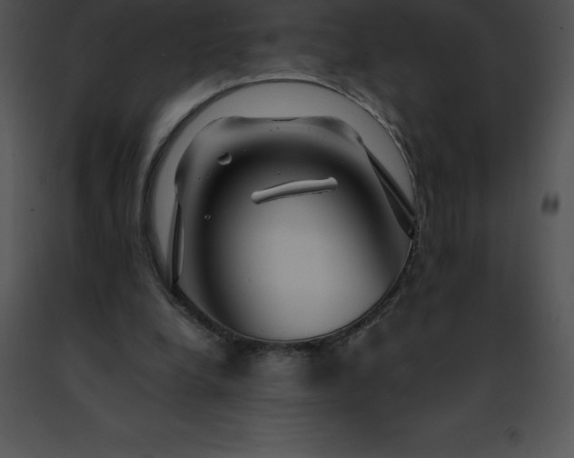 X0000091490248200708301942