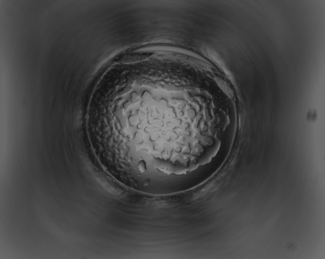 X0000091490249200708301942